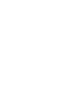 Logo 2